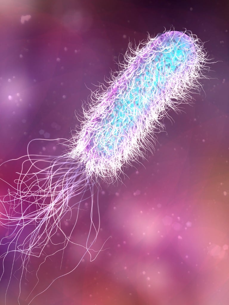 Zöld köröm szindróma (algásodás)