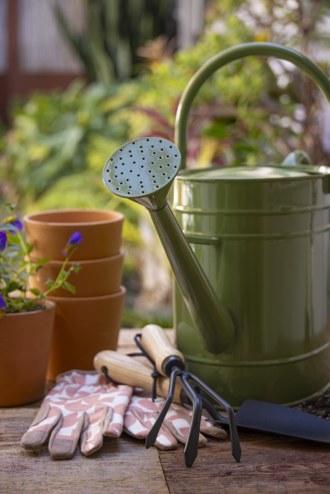 Nyári kerti növények rendbetétele