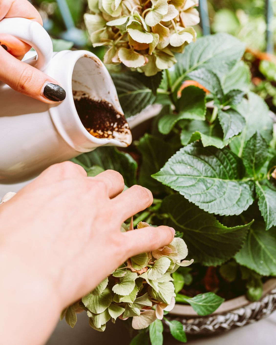 A kávé használatának kockázatai