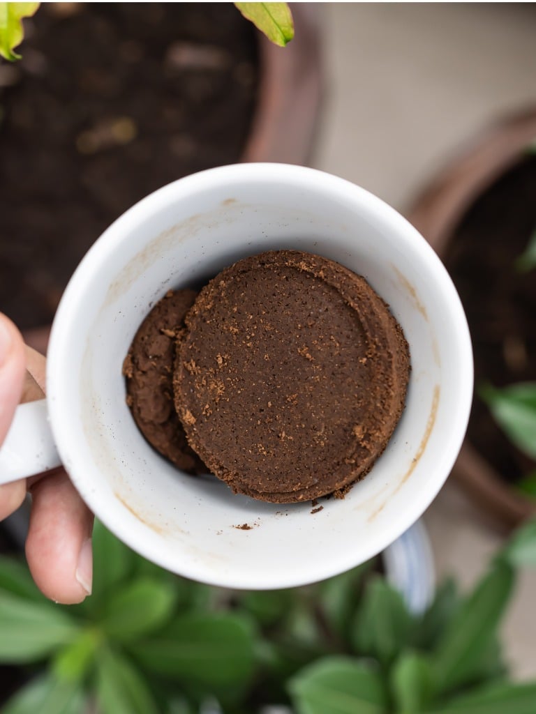 De vajon tényleg jót teszel ezzel a virágaidnak?