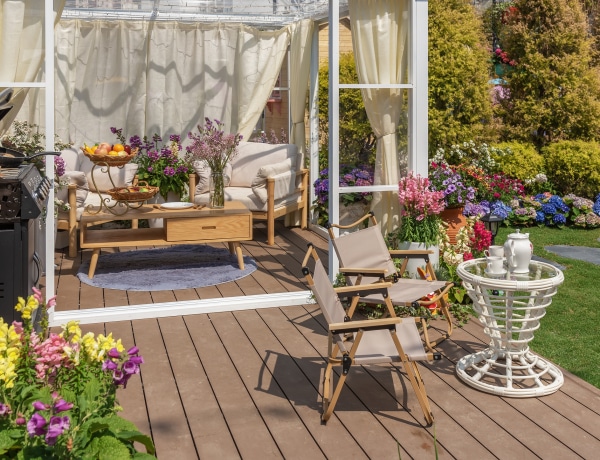 Ez a 10 növény távol tartja a szúnyogokat