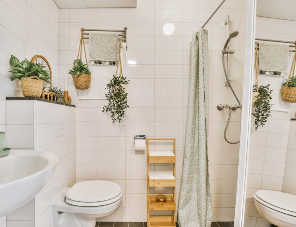 Ezért ne zuhanyozz nyitott WC-fedél mellett