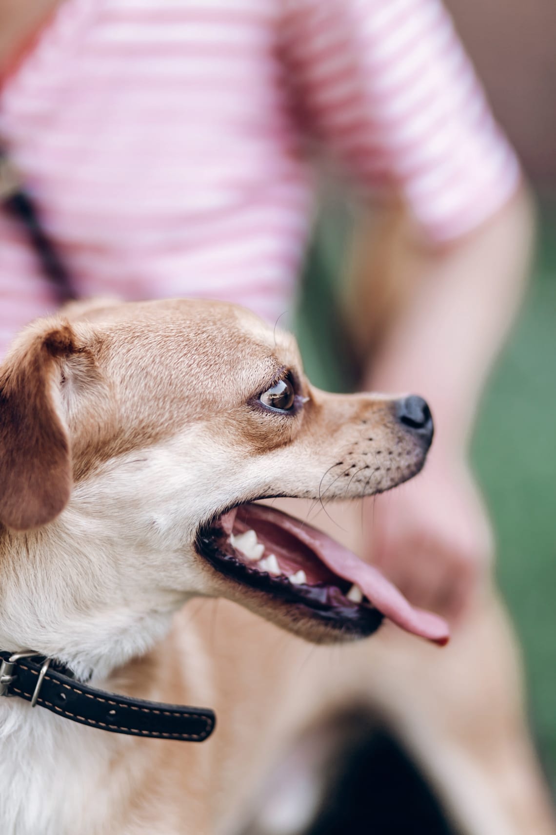 Kerüld a forró felületeket