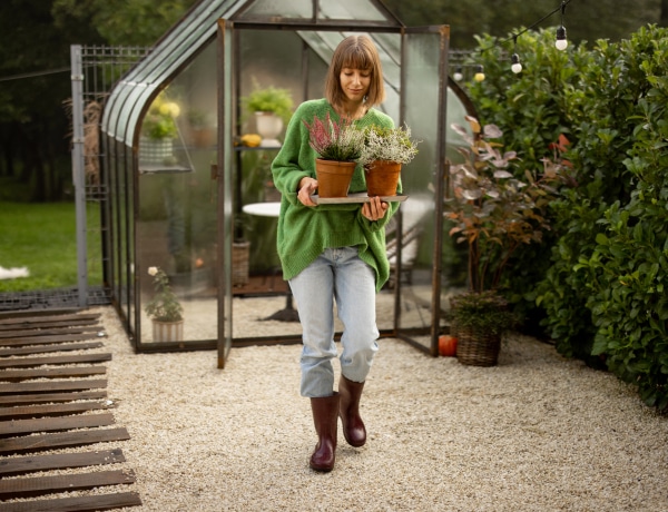 7 növény, amivel csodás őszi színekbe öltöztetheted a kertedet