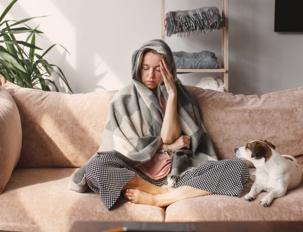 A kutyád kiszagolja, ha stresszes vagy és nagyon megviseli őt