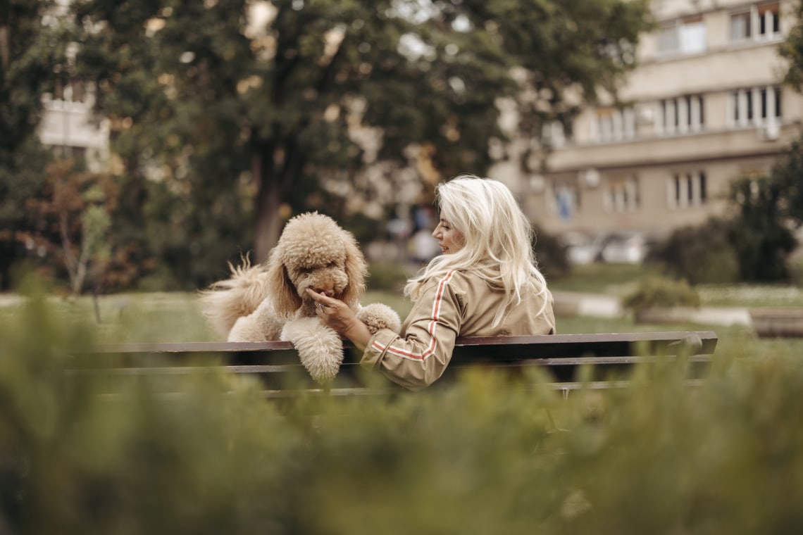 Van 10 kutyafajta, ami nem vált ki kutyaszőr allergiát az emberekből