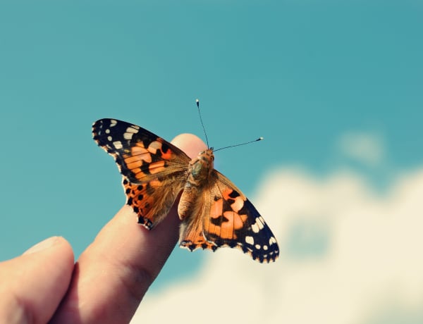 „Peti, minden jó itt.” Mi történt veled, ami bizonyíték arra, hogy van élet a halál után?