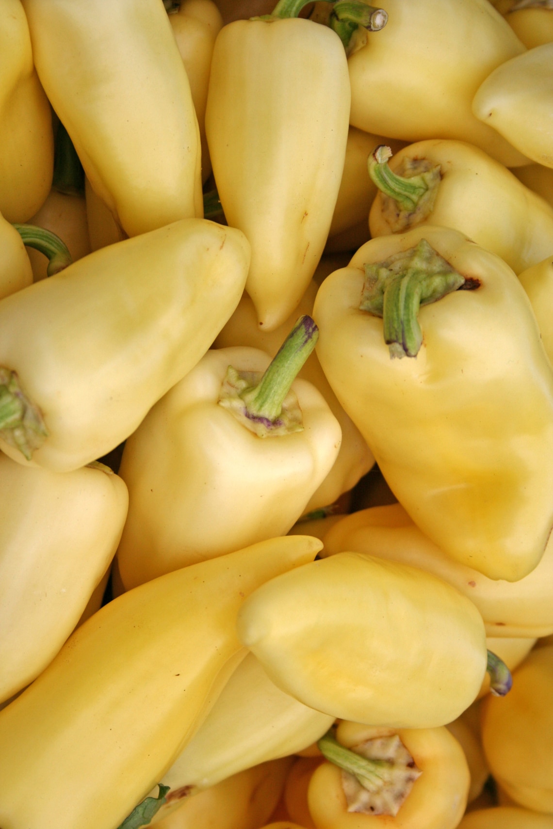 Paprika