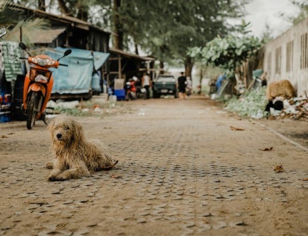 „Amikor a csapból ivott, a szívem is megállt” – Emberek, akik szegény országban nőttetek fel, mi volt a legmegdöbbentőbb nyugaton?