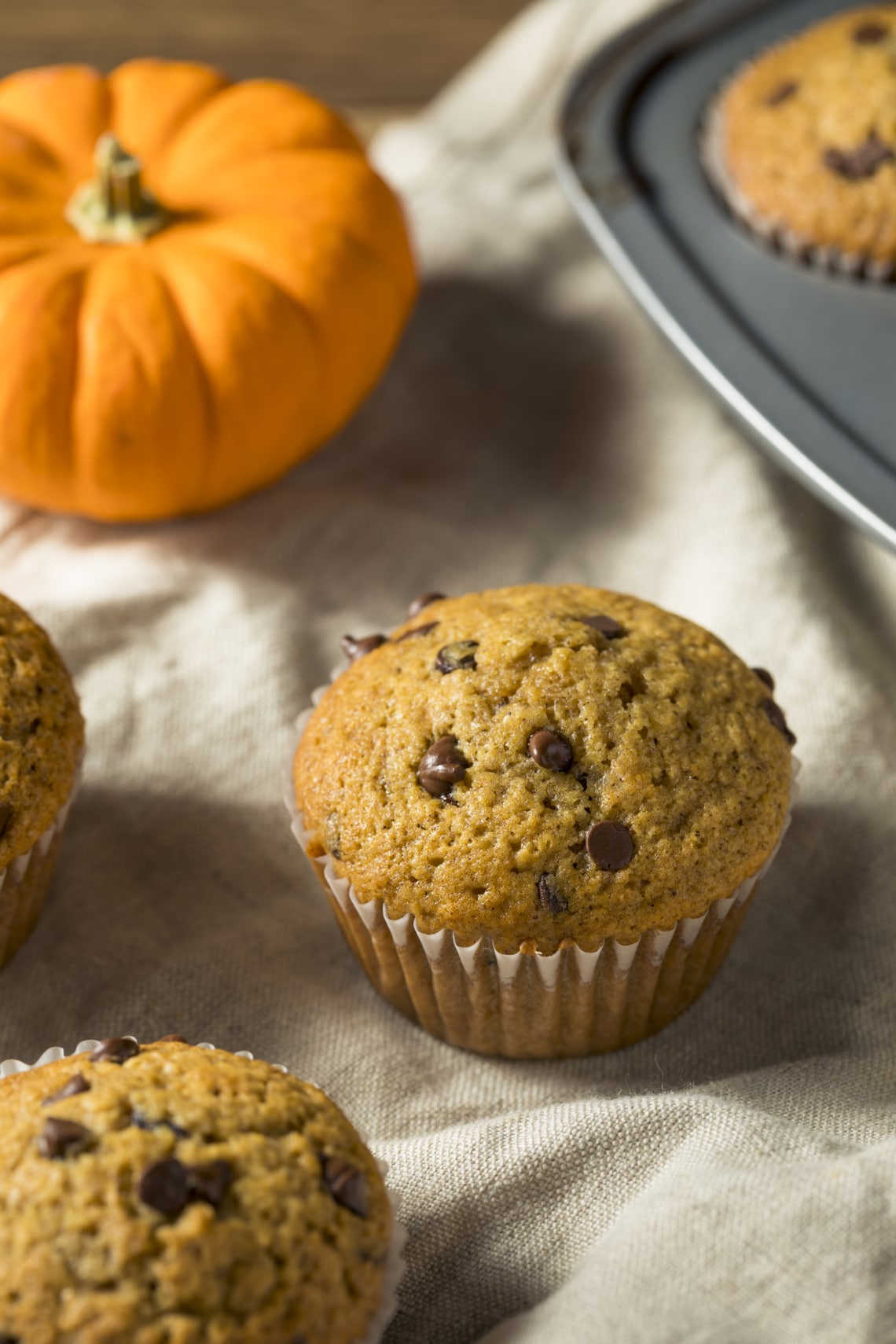 Sütőtökös csokis muffin