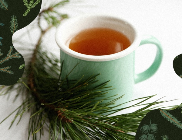 Igazi C-vitamin bomba ez a mennyei tea, de valószínűleg még soha nem kóstoltad