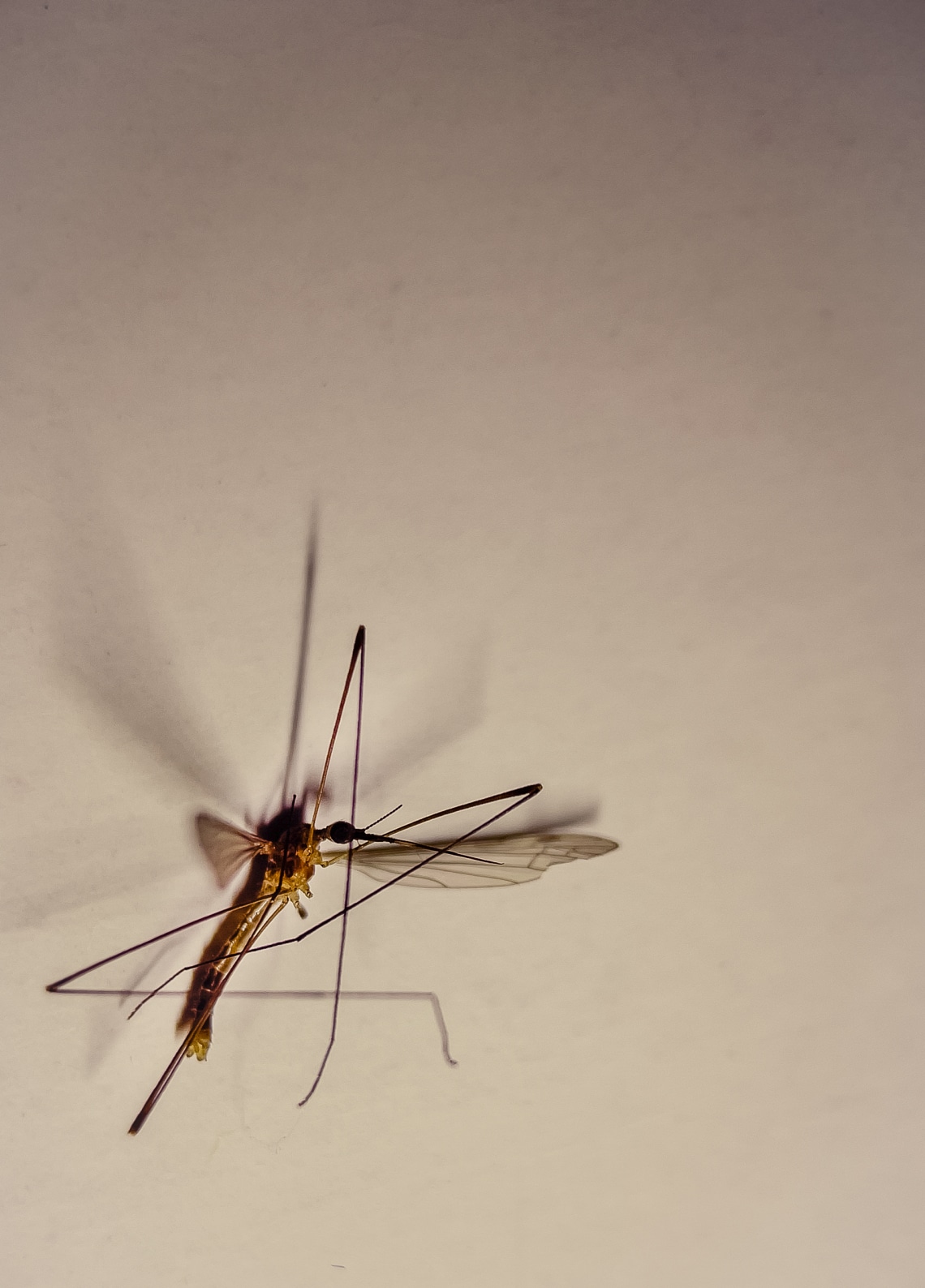 A szén-dioxid az egyik fő vonzerő