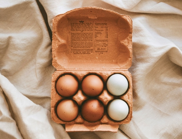 Barna vagy fehér héjú tojás: melyik az egészségesebb?