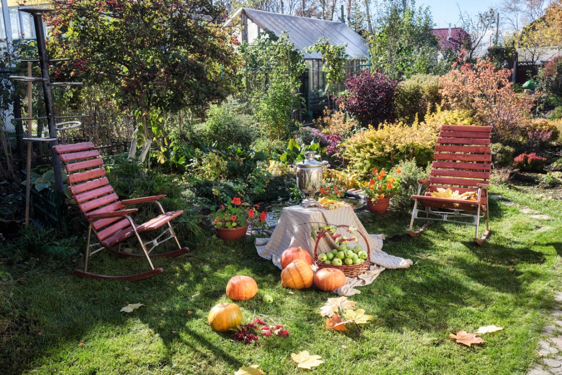 Ütős növénypárosítások, amiket ősszel kellene elültetni
