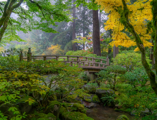 Ezekkel a japán zen-módszerekkel pozitív irányba tereled az életed
