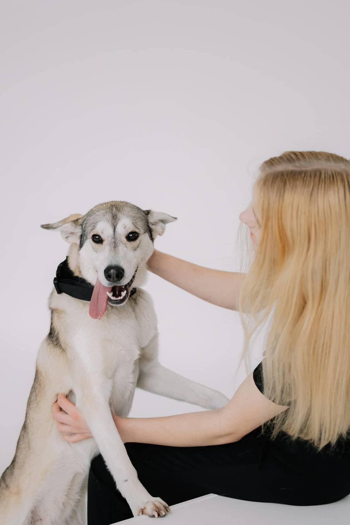 pexels-miami302-29443624