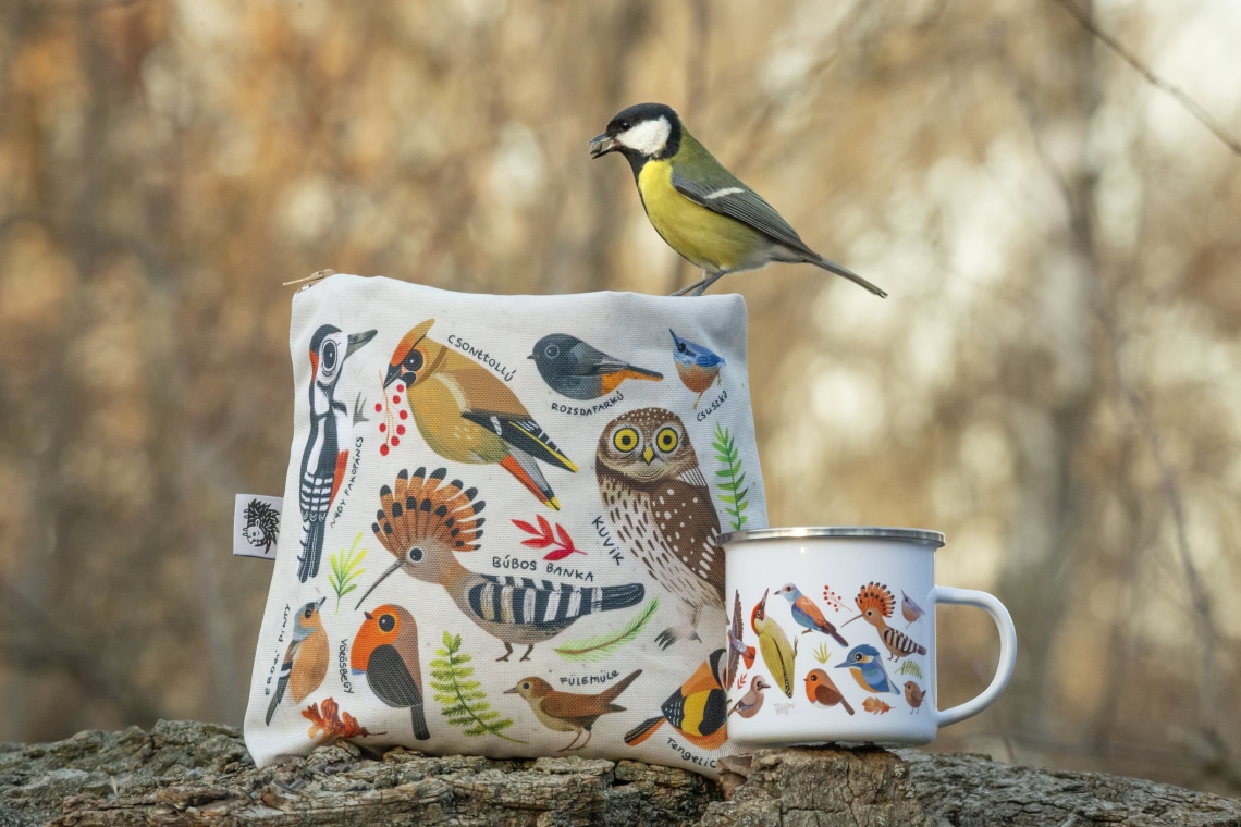 Dorottya varázslatos illusztrációi kicsikhez és nagyokhoz is közelebb hozzák a természetet