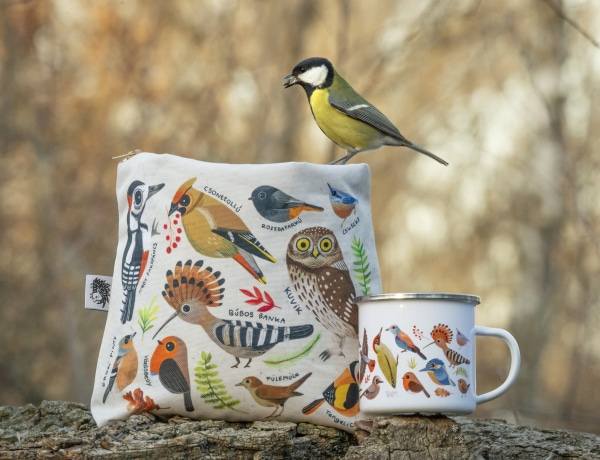 Dorottya varázslatos illusztrációi kicsikhez és nagyokhoz is közelebb hozzák a természetet