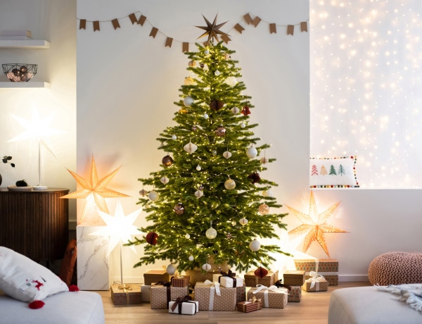 Válassz egy karácsonyfát, elmondjuk, mit árul el rólad!