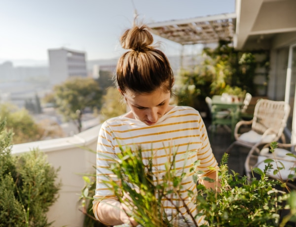 Kevés munkával szép kert – 4 kertrendező tipp, amivel elérheted
