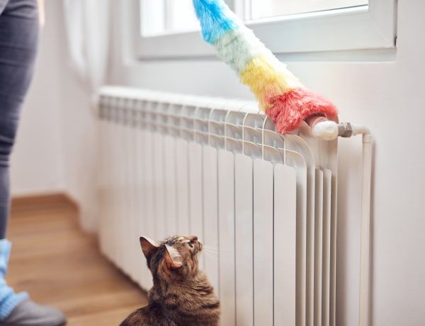 Így tisztítsd meg a radiátort, hogy tényleg megszabadulj a portól