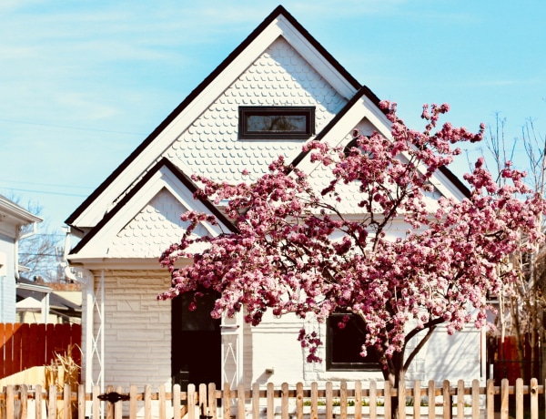 4 fafajta, amit soha ne ültess a házadhoz közel