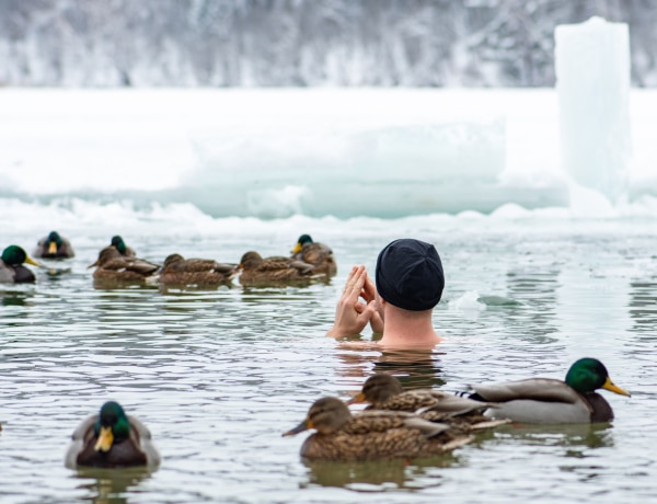 11 őrületes dolog, amit nem sokan tudnak Wim Hofról, a jeges gyógyítóról