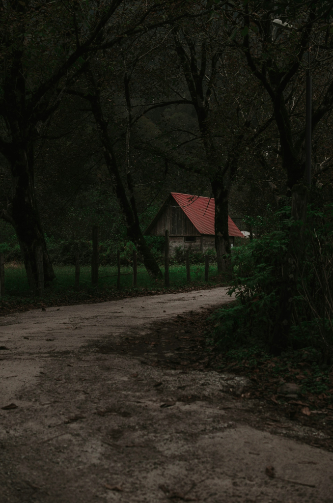 Hátborzongató történetek