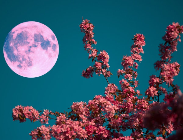 Április 13-án rózsaszín telihold: így befolyásolja az életedet