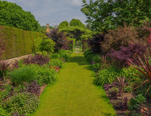 7 bordó levelű növény, amivel feldobhatod a kerted összképét
