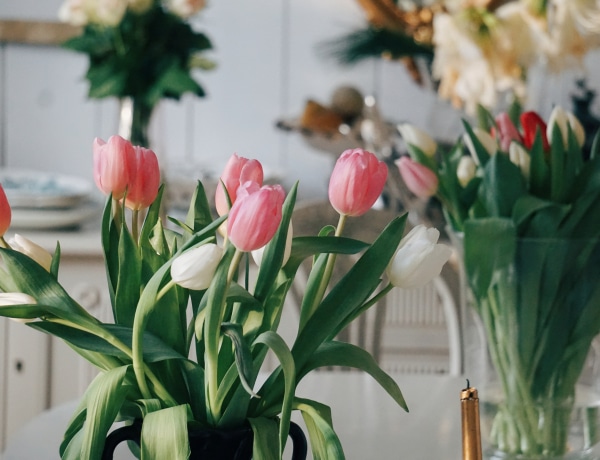 Ezzel az egyszerű trükkel tovább friss marad a tulipán
