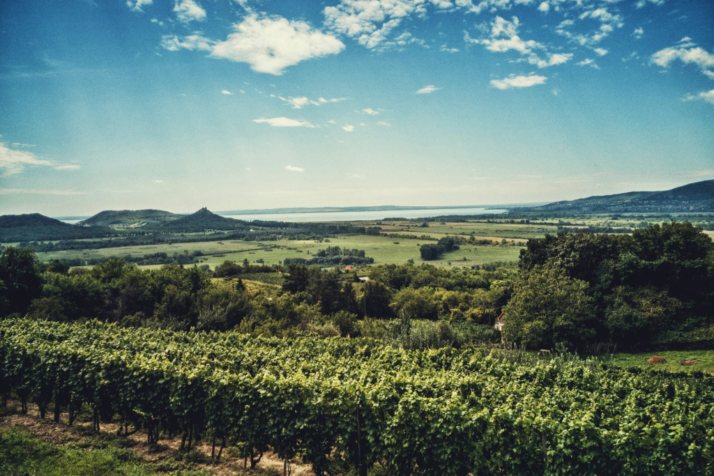 A Balaton rejtett kincsei: 5 nyugalom-sziget a magyar tengernél