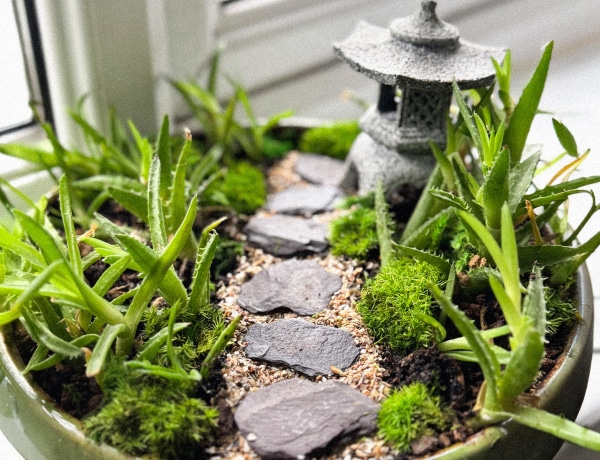 Japán ihletésű minikert ötletek – zöld nyugalomsziget a nappalidban