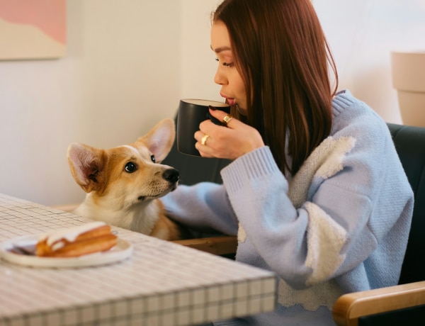 Melyik kutyafajta illik hozzád a csillagjegyed alapján?