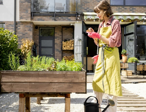 Ezek a zöldségek árnyékban is bő termést hoznak