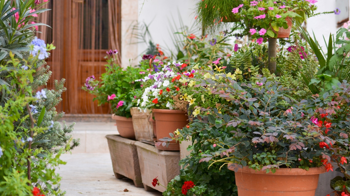 Töltőanyagok nagy virágládákhoz – 8 ötlet, amit imádni fogsz