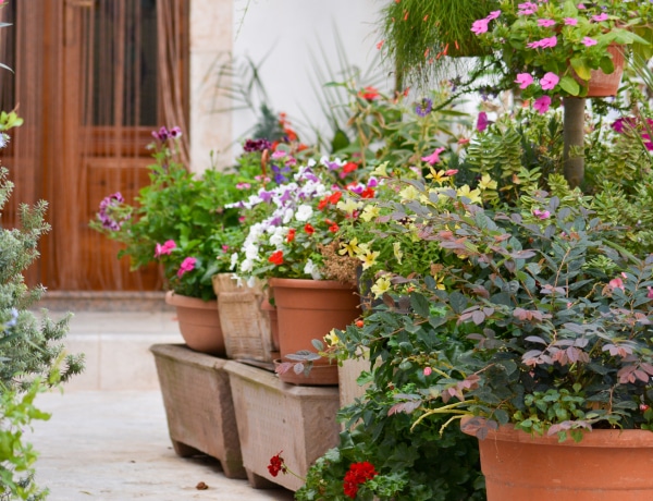 Töltőanyagok nagy virágládákhoz – 8 ötlet, amit imádni fogsz