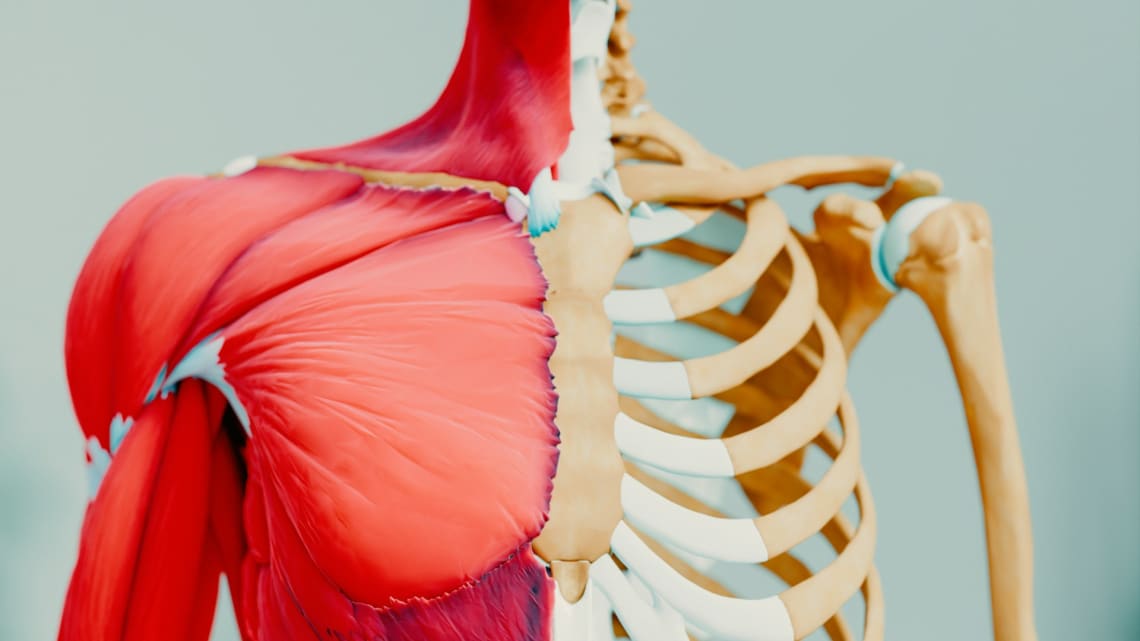 „Nincs olyan skizofrén, aki születése óta vak.” Mi az, amit nem tudunk a test működéséről?