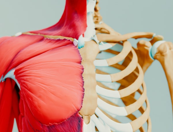 „Nincs olyan skizofrén, aki születése óta vak.” Mi az, amit nem tudunk a test működéséről?