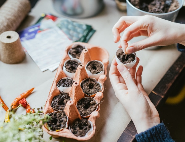 Ne dobd ki az üres tojástartót. Ezekre a dolgokra használd fel