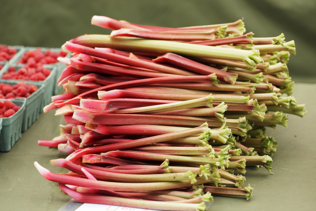 A rebarbara fogyasztása