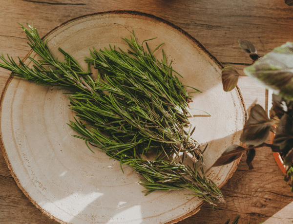 Dúsabb haj, szebb bőr, illatos ruhák: így készíts rozmaringvizet otthon