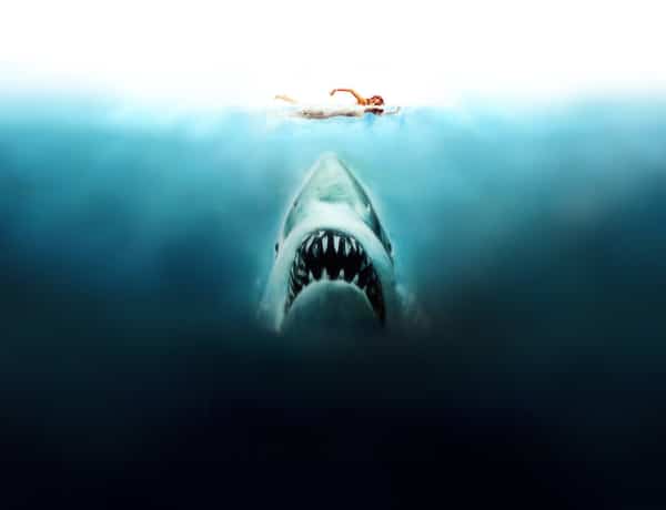 A 10 legjobb cápás film – A Cápán kívül