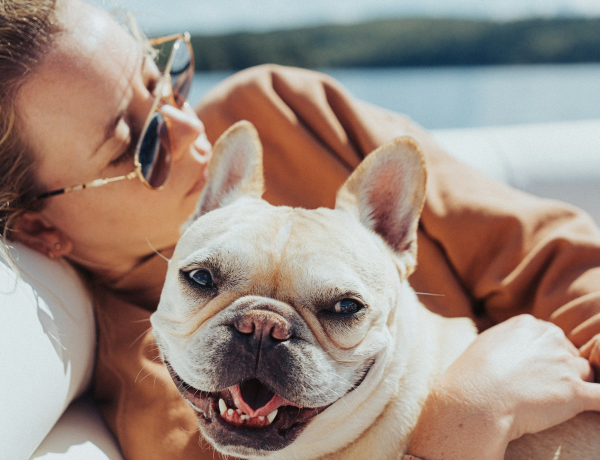 Melyik a kedvenc kutyafajtád? Ez a lakberendezési stílus passzol hozzád