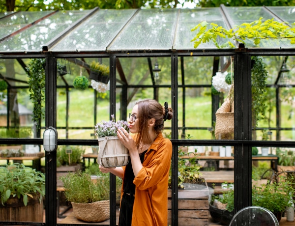 5+1 kertészkedési hiba, amitől könnyen tönkremennek a növényeid