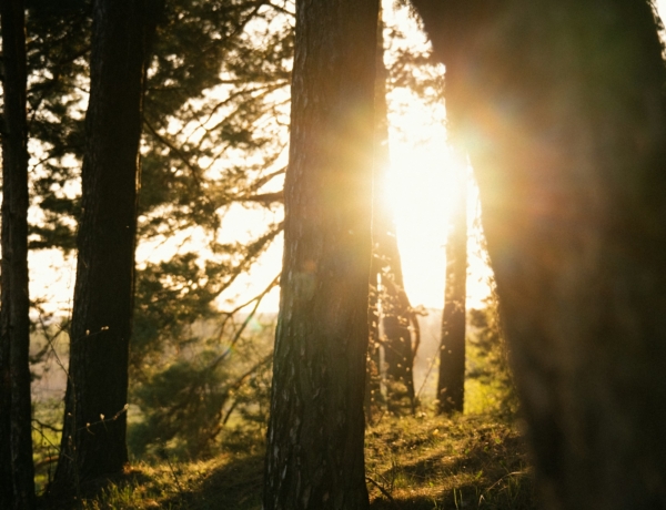 Lesz még meleg augusztusban? Friss időjárás jelentés