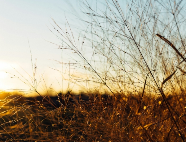 Ma ideális nyári időjárásunk van, ennyi fok várható