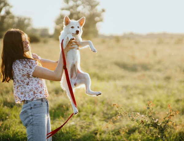 Ha 24 órára beszélhetnél a házikedvenceddel, mit  kérdeznél tőle?