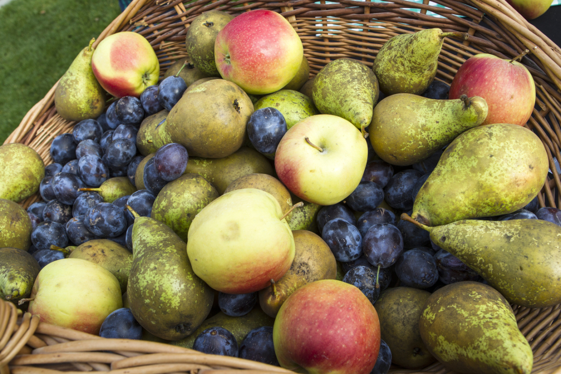 Itt a szezonja: ezek az őszi gyümölcsök turbózzák fel legjobban az immunrendszeredet