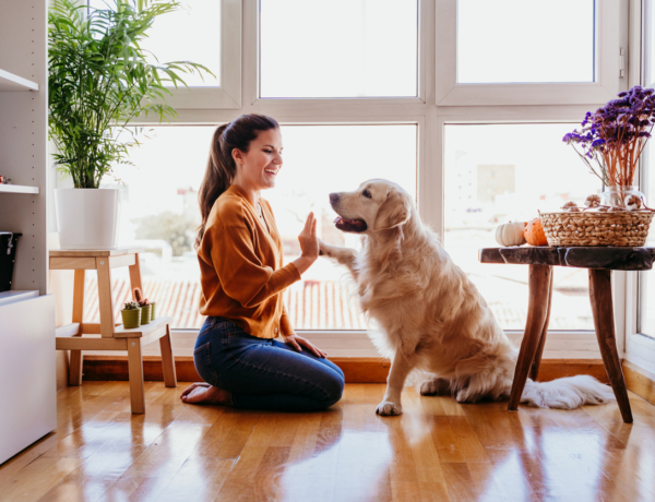 Ez a kutyafajta illik legjobban hozzád – a születési hónapod szerint